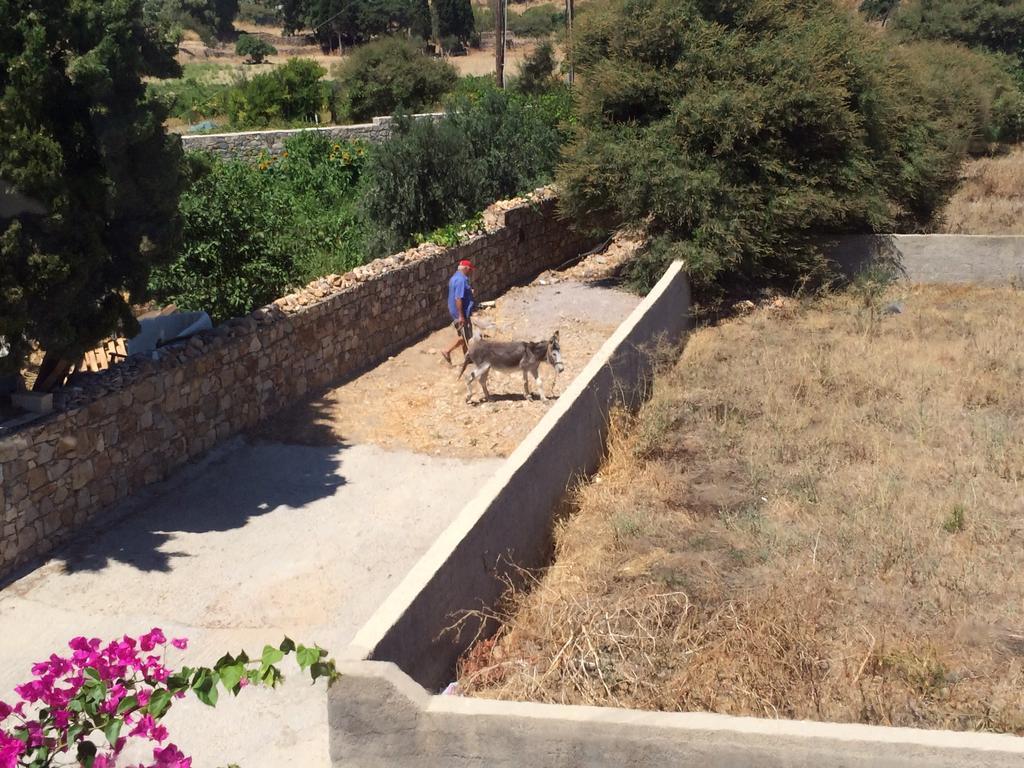 Patmos Villas Grikos Bay  Bagian luar foto